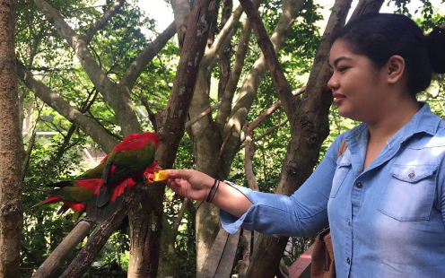 動物園で鳥に餌を上げているkath先生